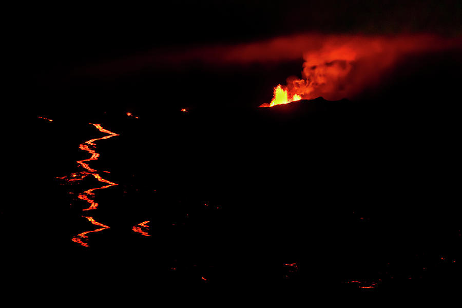 Mouna Kea Volcano Photograph by Leonardo Dale - Fine Art America