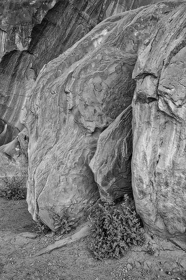 Mounement Valley Rock Formations III BW   Photograph by Susan Candelario