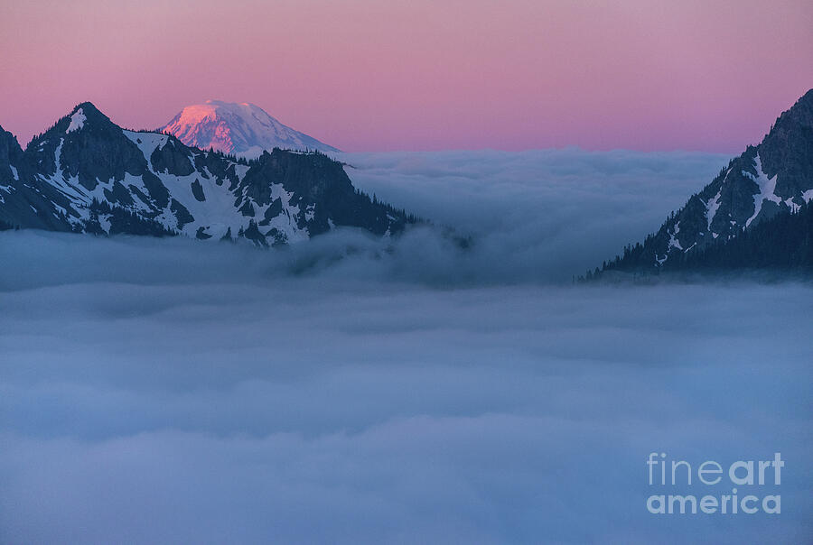 Mount Adams Alpenglow Photograph