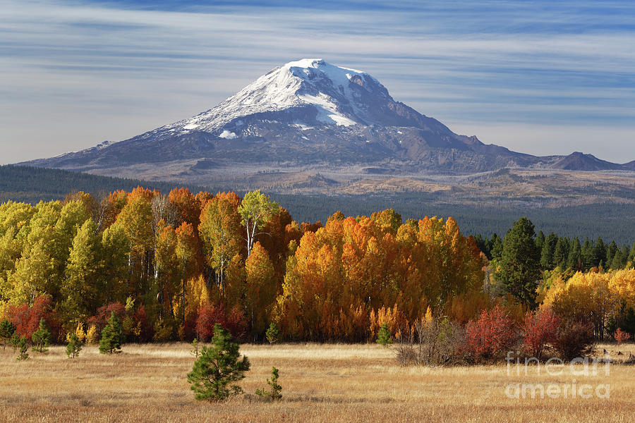 Mount Adams in Washington with Fall Foliage Photograph by Tom Schwabel