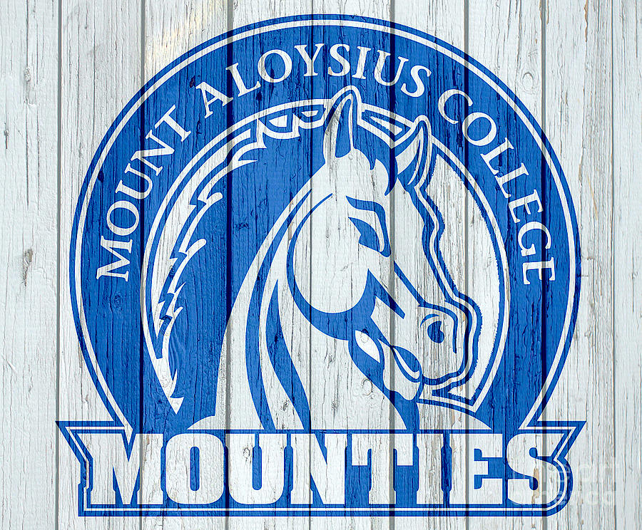 Mount Aloysius College Digital Art by Steven Parker