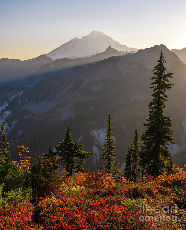 Fall Photograph - Mount Baker Fall Colors Sunrays by Mike Reid
