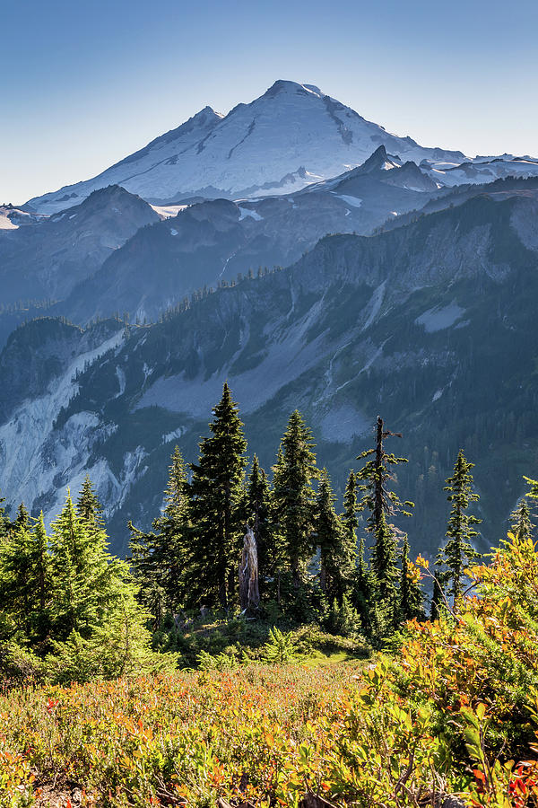 Mount Baker Peak Wilderness Photograph by Pierre Leclerc Photography