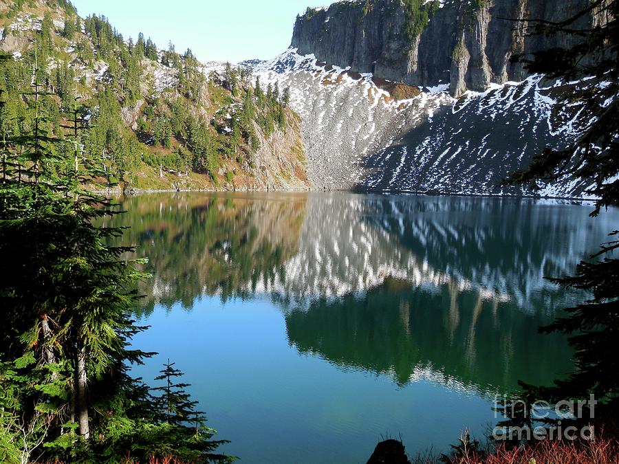 Mount Baker Snoqualmie National Forest Photograph by Art Sandi - Pixels