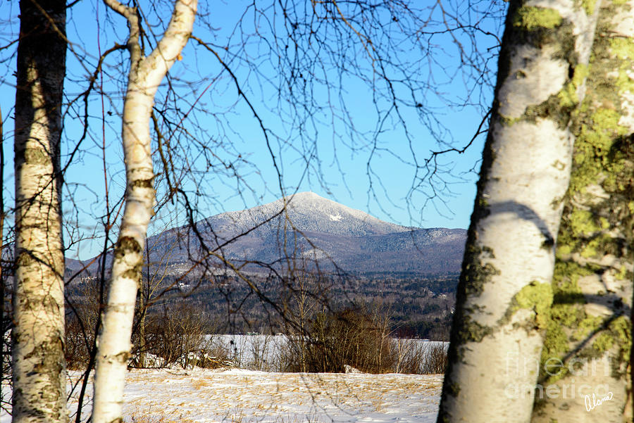 Mount Blue Photograph
