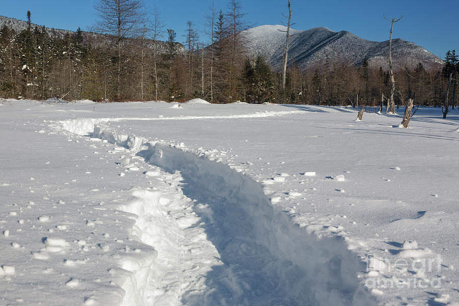 Mount Carrigain - Sawyer River Trail, New Hampshire Photograph by Erin Paul Donovan