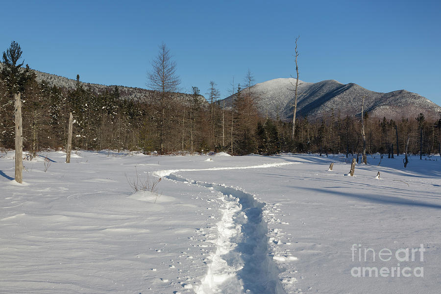 Mount Carrigain - White Mountains, New Hampshire Photograph by Erin Paul Donovan