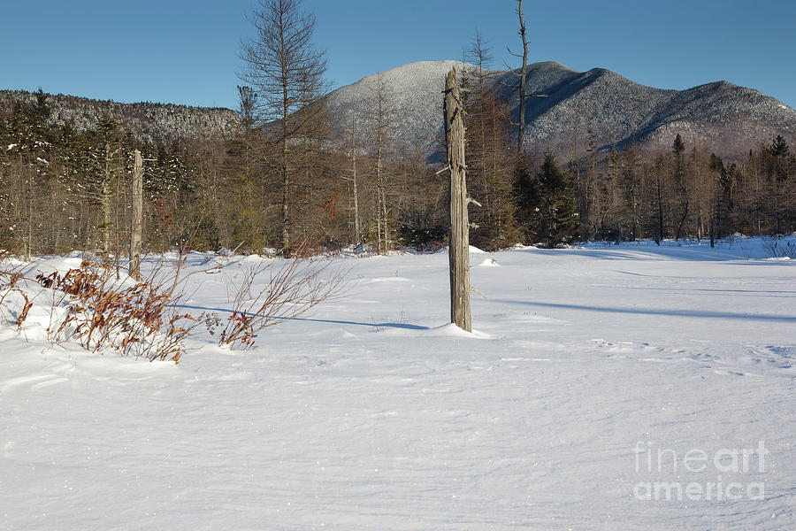 Mount Carrigain - White Mountains New Hampshire USA Photograph by Erin Paul Donovan