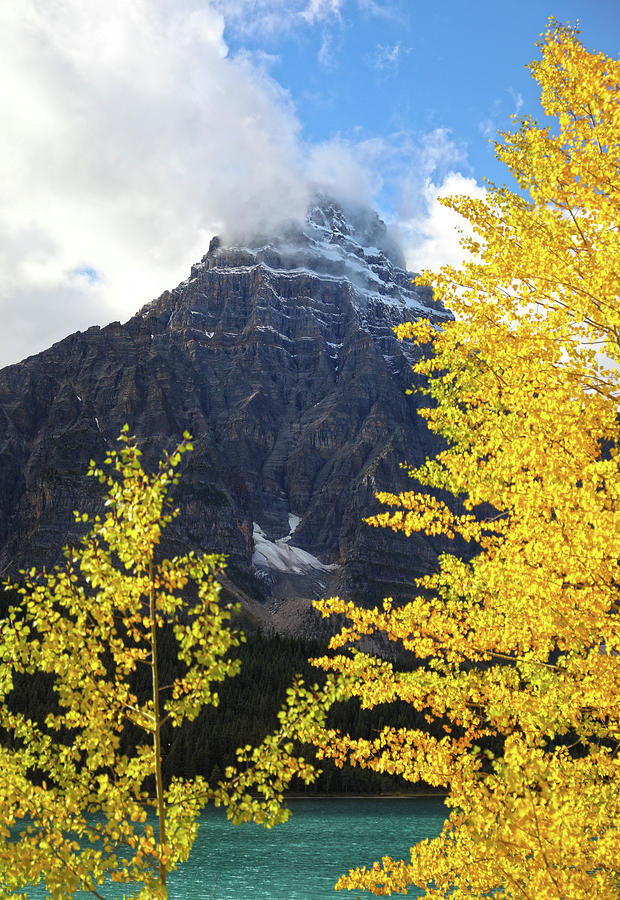Mount Chephren In Autumn Photograph by Dan Sproul