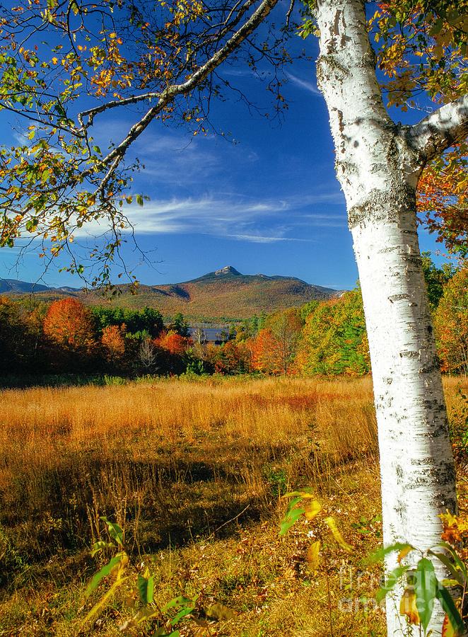 Mount Chocorua Golden Autumnal Photograph