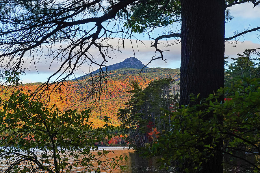 Mount Chocorua through the trees from Chocorua Lake Tamworth New Hampshire Fall Foliage Photograph by Toby McGuire
