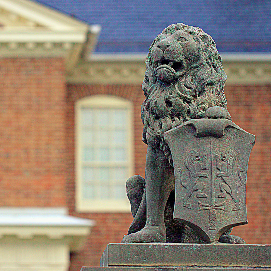 Baltimore Photograph - Lion Statue by Joseph Skompski