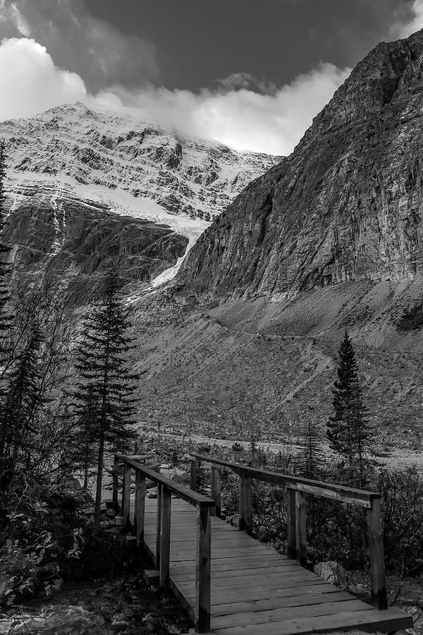 Mount Edith Cavell Hiking Bridge Photograph by Dan Sproul