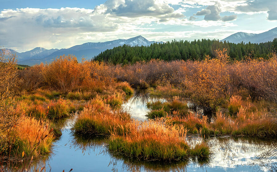 Mount Elbert In Autumn From Leadville Photograph by Dan Sproul Mount Elbert In Autumn From Leadville Photograph by Dan Sproul
