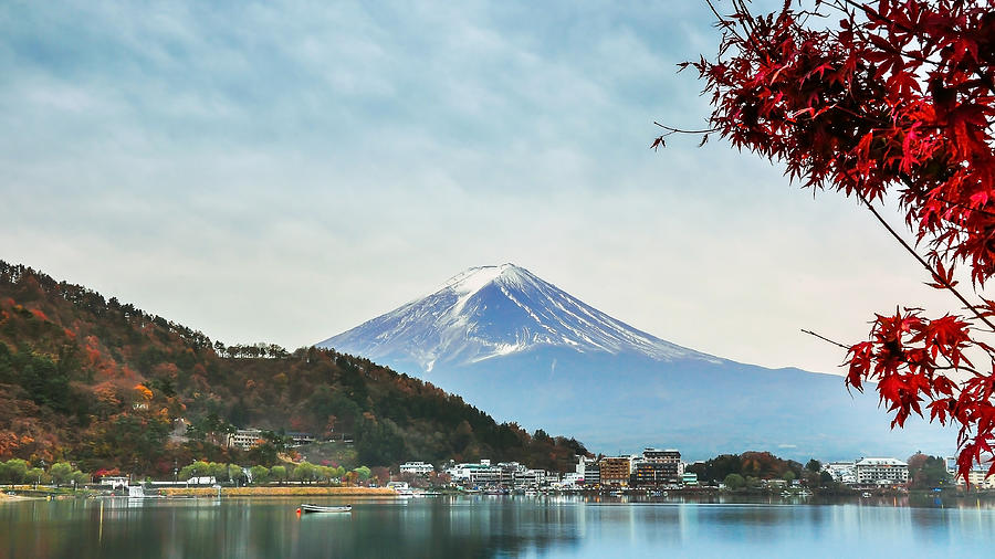 Mount Fuji and red maple Photograph by Mytruestory Photography