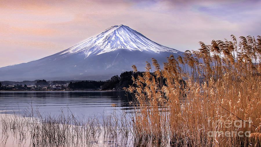 Mount Fuji at Dusk Photograph by Makiko Ishihara