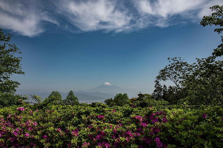 Mount Fuji from Shizuoka Photograph by David Bearden Pixels