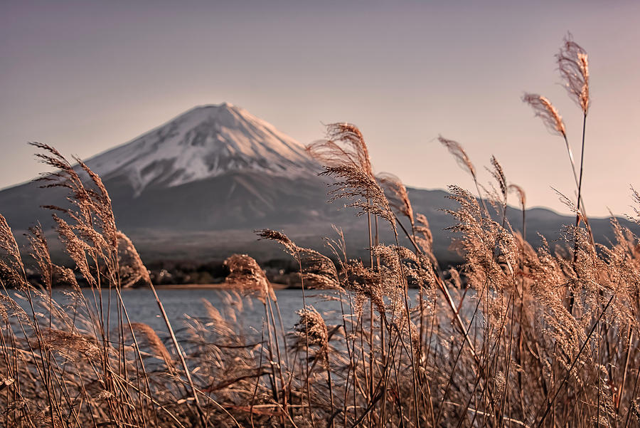 Mount Fuji In The Evening Photograph