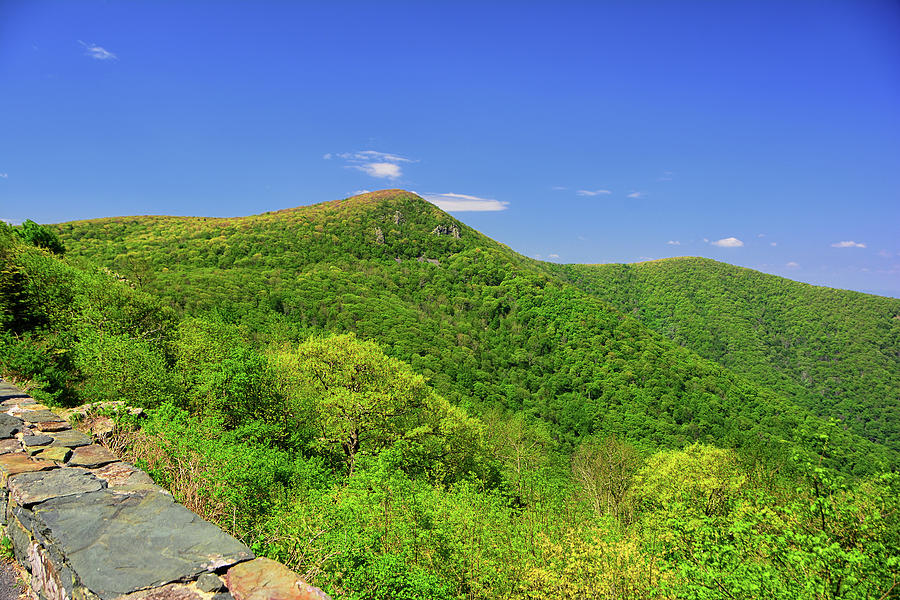 Mount Hanksbill from Crescent Rock Overlock Photograph by Raymond Salani III