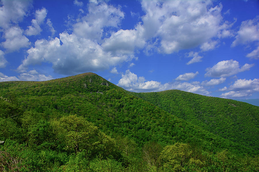 Mount Hawksbill from Crescent Rock Photograph by Raymond Salani III