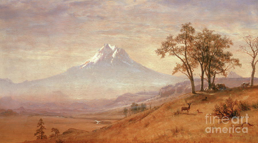 Tree Painting - Mount Hood by Albert Bierstadt