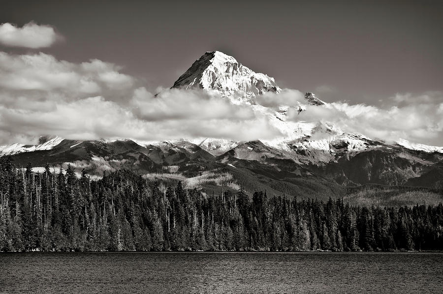 Mount Hood From Lost Lake Photograph by Robert Woodward