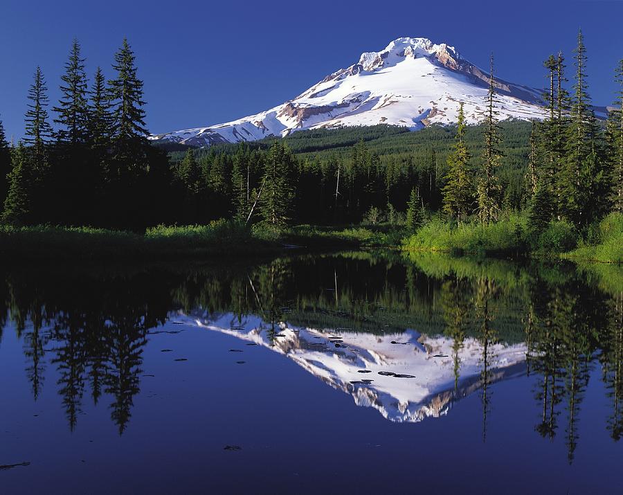 Mount Hood Oregon Volcano Photograph by Mona Master - Fine Art America