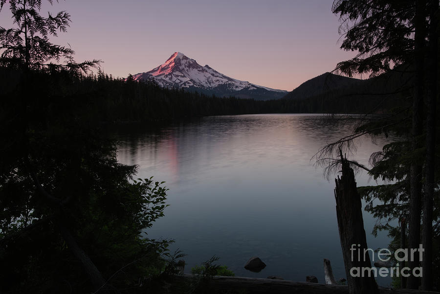 Mount Hood over Lost Lake Sunrise Photograph by Rick Bures