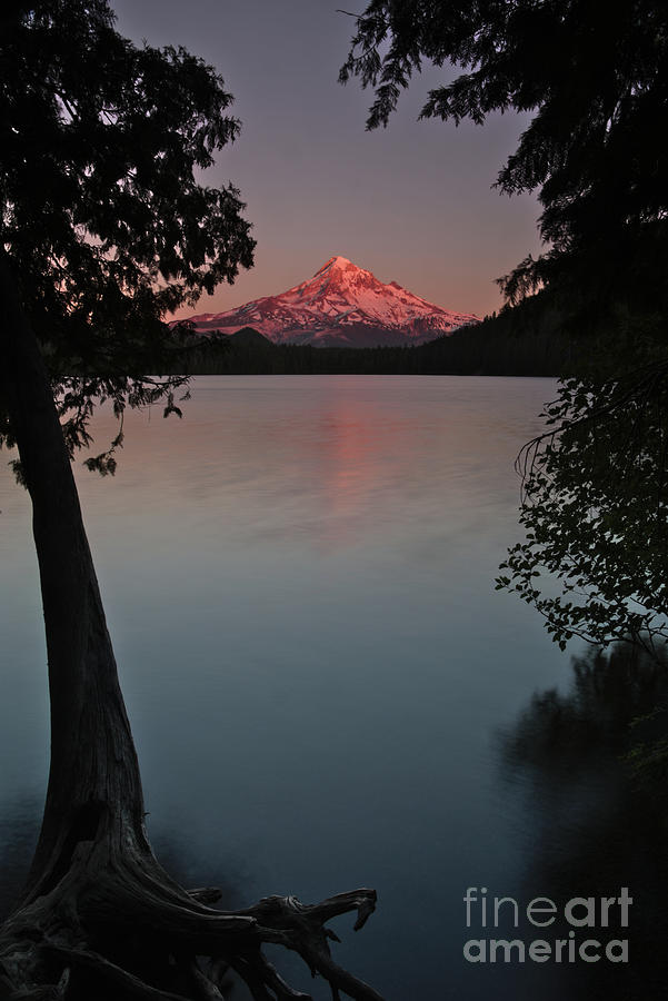 Mount Hood over Lost Lake Sunset Photograph by Rick Bures