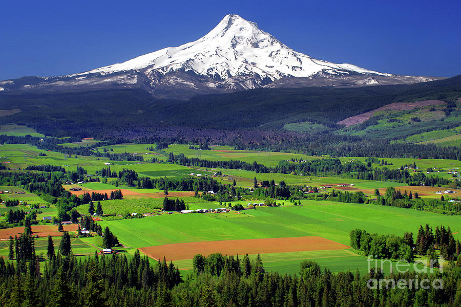 Mount Hood, Upper Hood River Valley Photograph by Douglas Taylor