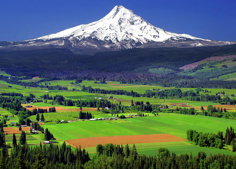 MOUNT HOOD, UPPER HOOD RIVER VALLEY - FINE ART PHOTOGRAPHY AND 1,000 pc. JIGSAW PUZZLE KIT Photograph by Douglas Taylor