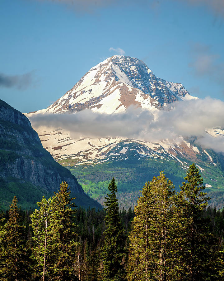 Mount Jackson at Glacier National Park Photograph by Jack Bell