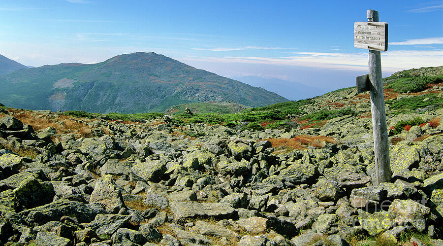 Mount Jefferson - White Mountains New Hampshire  Photograph by Erin Paul Donovan