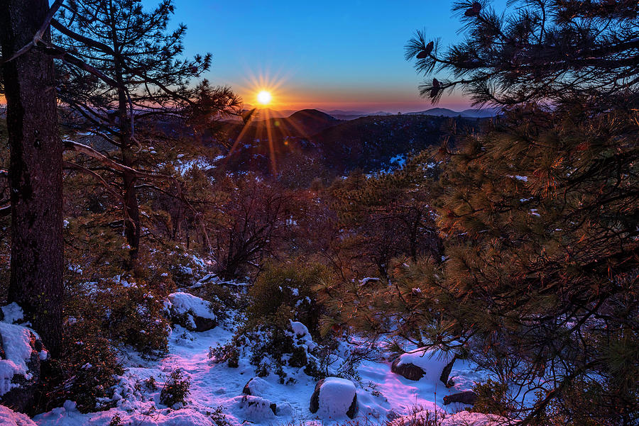 Mount Laguna Snowy Sunset Photograph by Scott Cunningham
