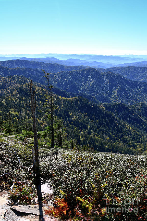 Mount LeConte 11 Photograph by Phil Perkins