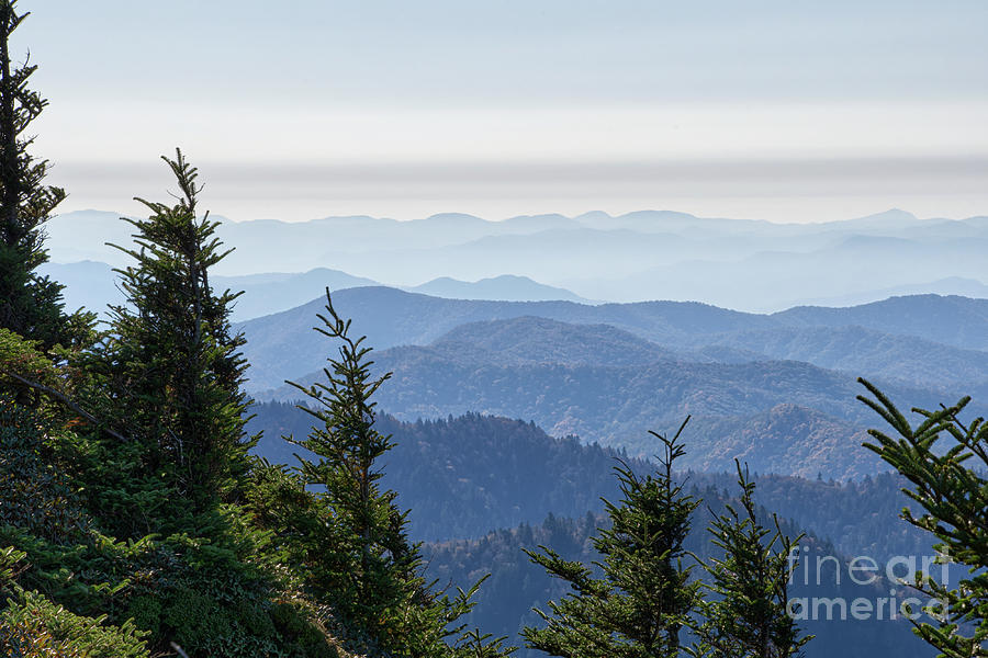 Mount LeConte 19 Photograph by Phil Perkins