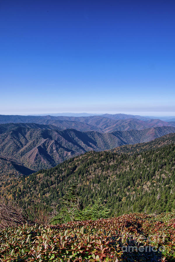 Mount LeConte 20 Photograph by Phil Perkins