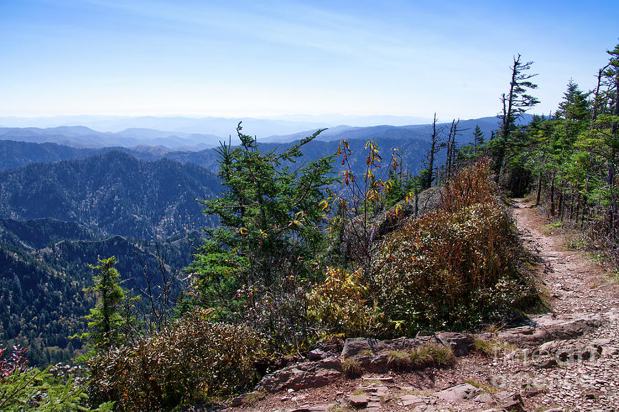 Mount LeConte 26 Photograph by Phil Perkins