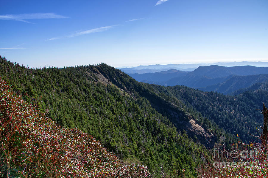 Mount LeConte 27 Photograph by Phil Perkins