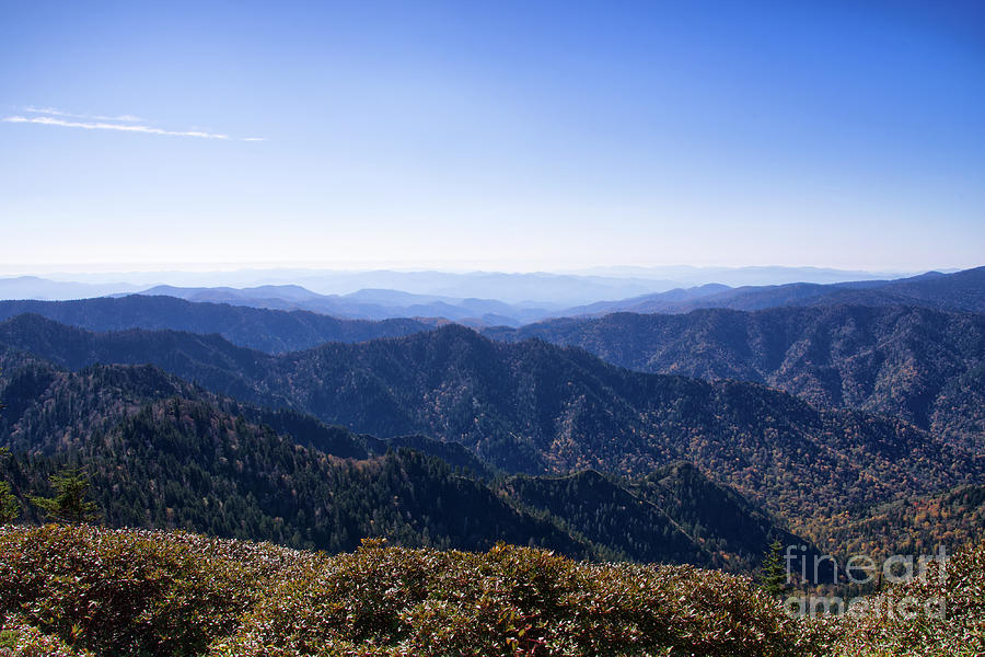 Mount LeConte 29 Photograph by Phil Perkins