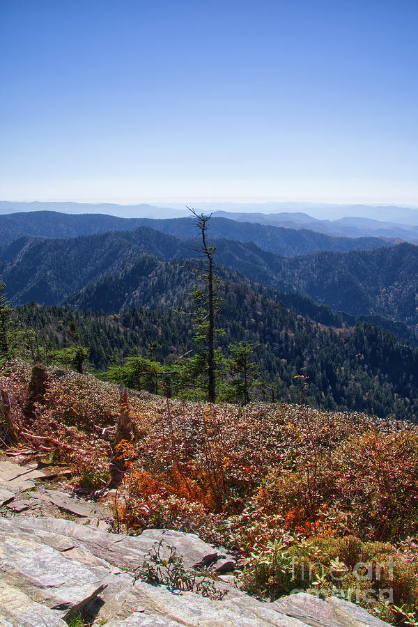 Mount LeConte 30 Photograph by Phil Perkins