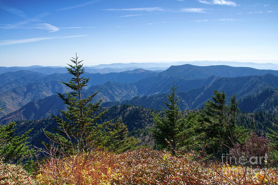 Mount LeConte 31 Photograph by Phil Perkins