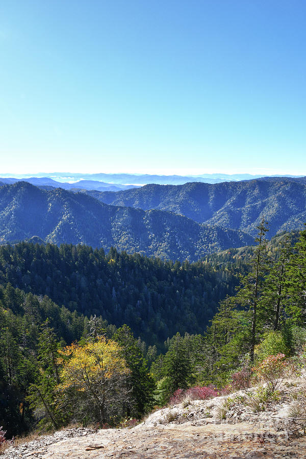 Mount LeConte 36 Photograph by Phil Perkins - Fine Art America