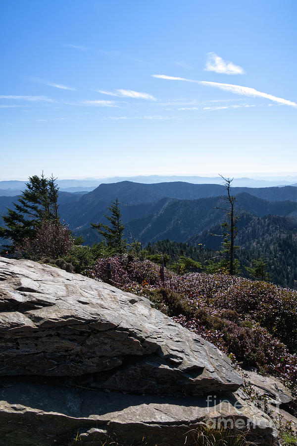 Mount LeConte 37 Photograph by Phil Perkins