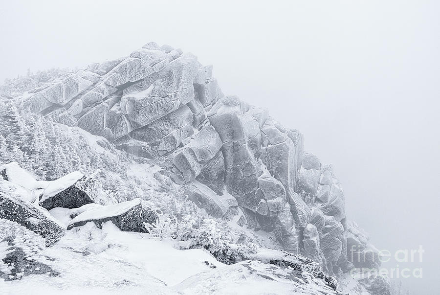 Mount Liberty - White Mountains New Hampshire USA Photograph by Erin Paul Donovan