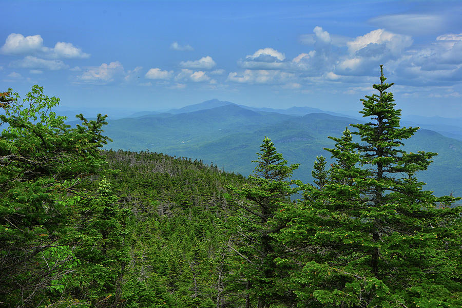 Mount Mansfield from Mount Camels Hump 3 Photograph by Raymond Salani III