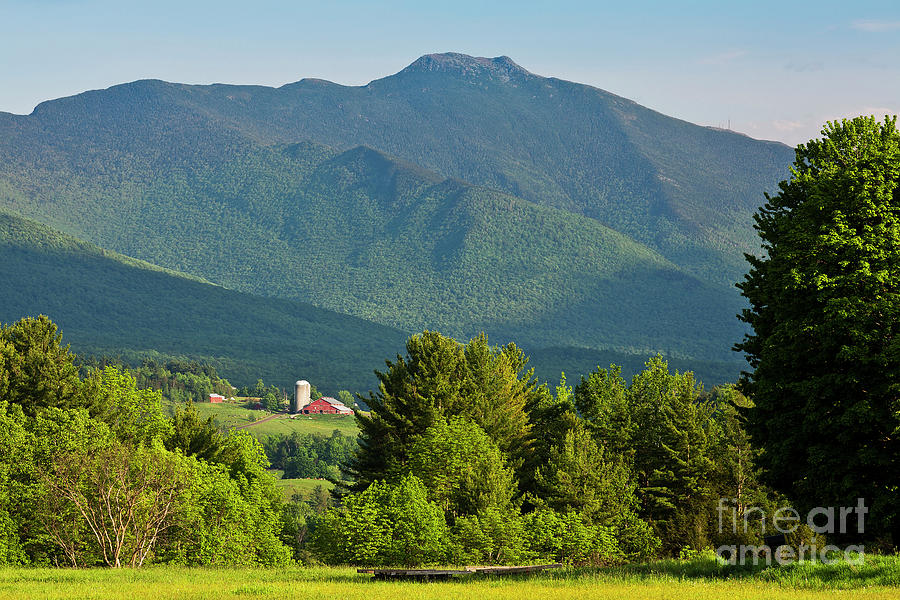 Mount Mansfield June Afternoon Photograph