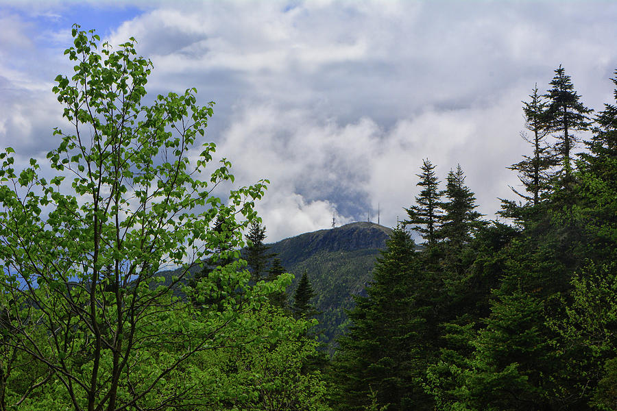Mount Mansfield Towers from The Long Trail Photograph by Raymond Salani III