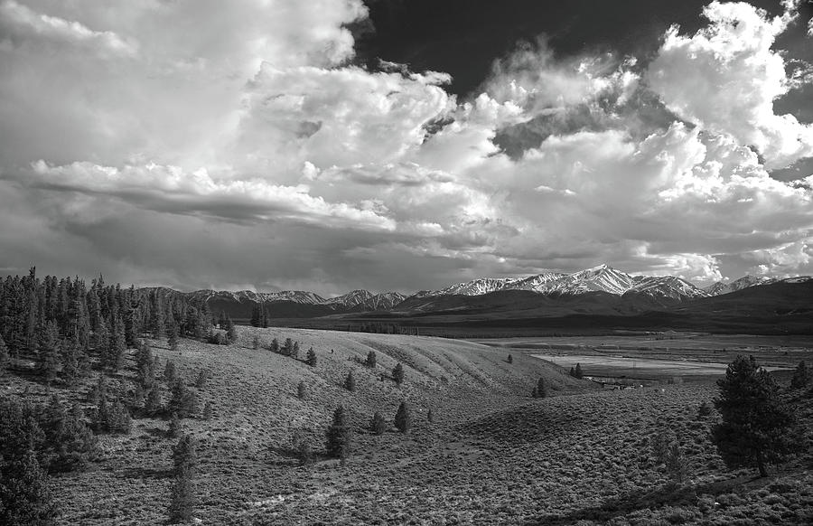 Mount Massive Wilderness Black And White Photograph by Dan Sproul