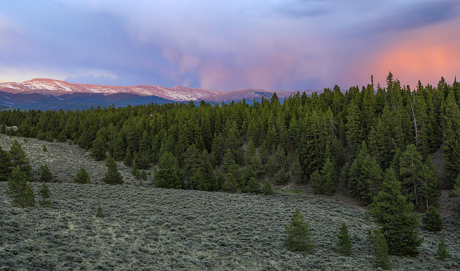 Mount Massive Wilderness Sunset Photograph by Dan Sproul
